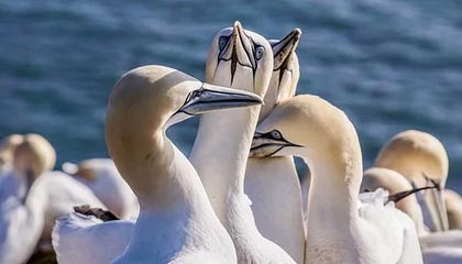 青训机构建立家校合作机制强化学生自律管理，建立健全家校合作机制