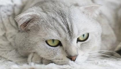 青训机构建立家校合作机制强化学生自律管理，建立健全家校合作机制