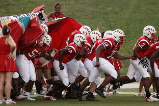 爱游戏中国官方登录入口网站-76人球队文化墙正式揭幕展示历史荣誉，76人队图案