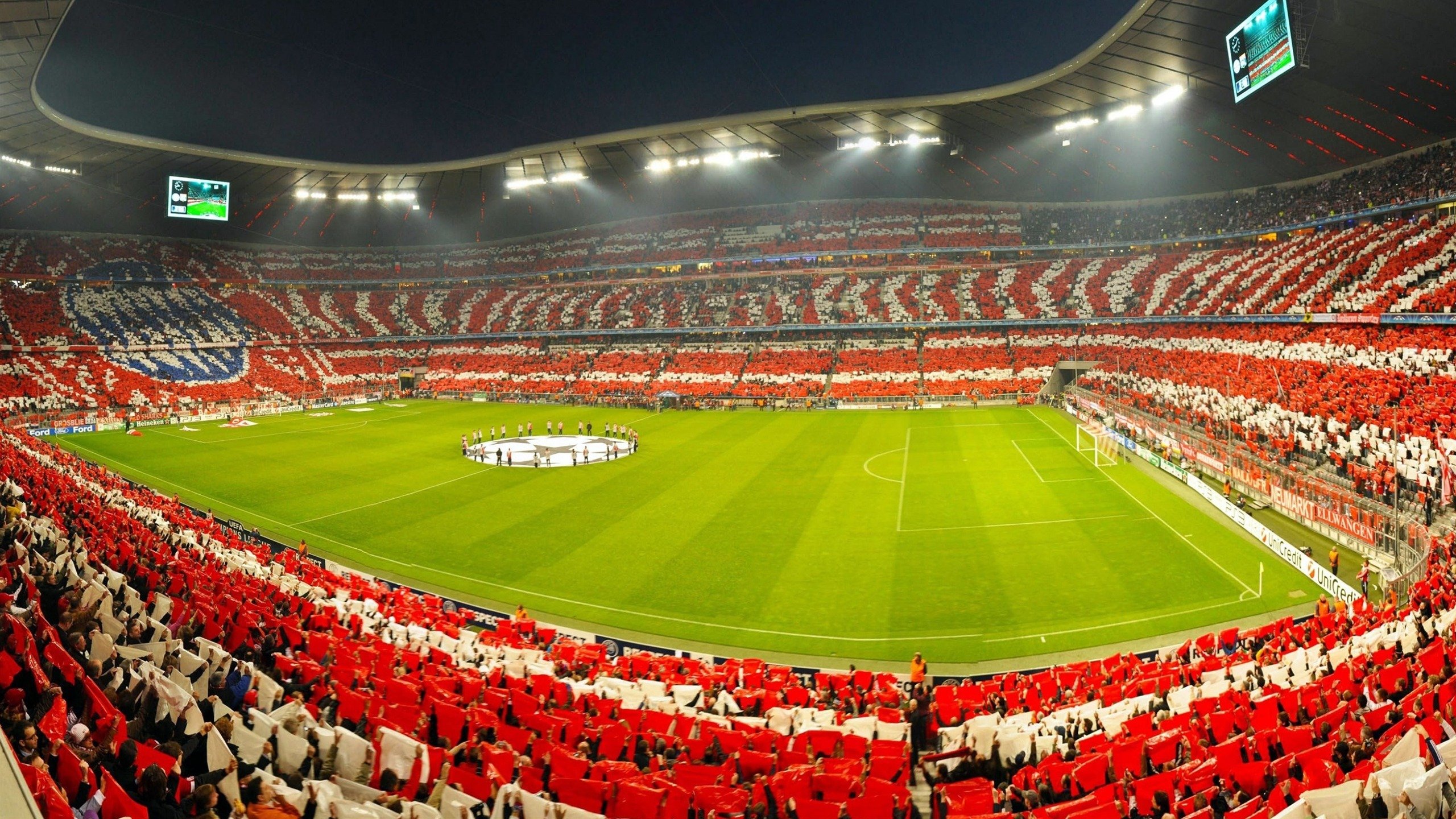 “团队力量：幕后英雄的坚韧不拔”，团队的精英